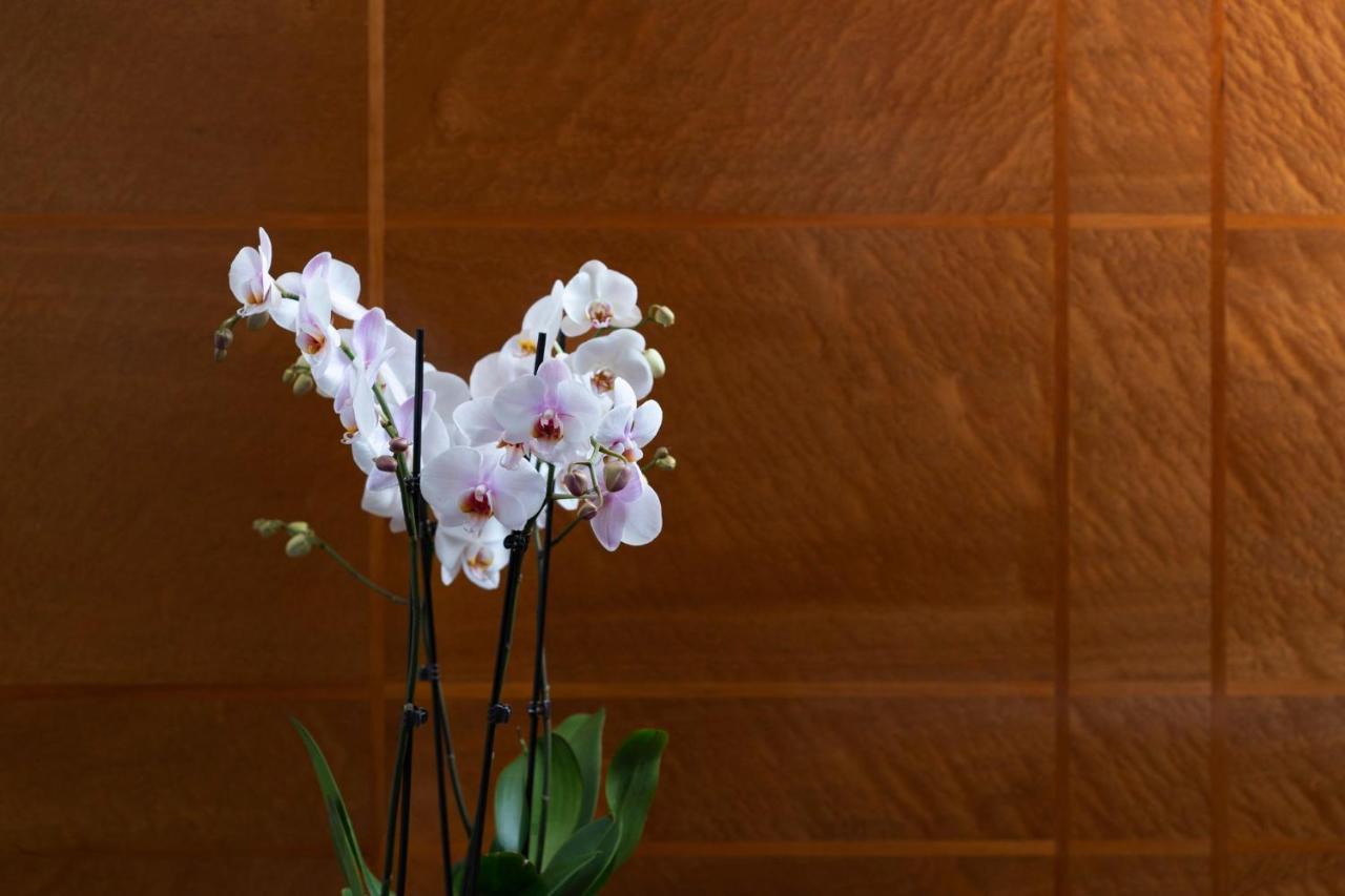Como The Halkin Londra Exterior foto